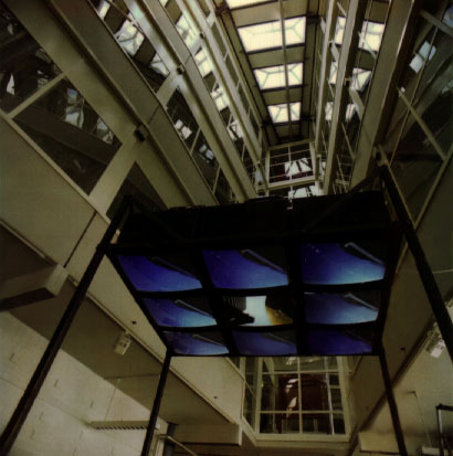 The Video Canopy Picture